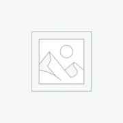 Symbol zastępczy
